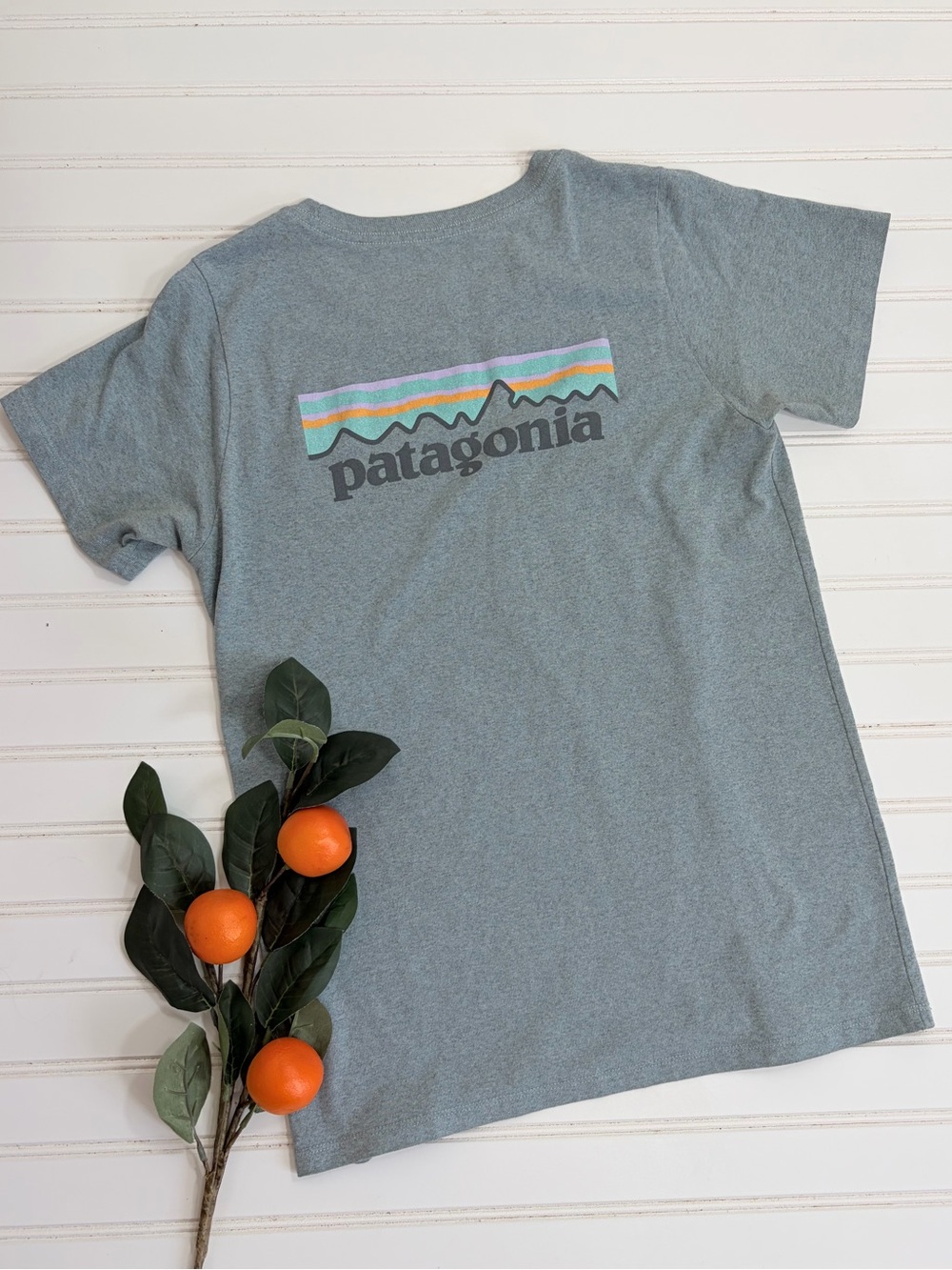 Patagonia Short Sleeve Crew Neck Tee Shirt